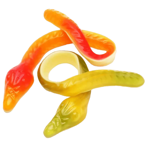 Vidal Giant Yellow Belly Snakes 3kg
